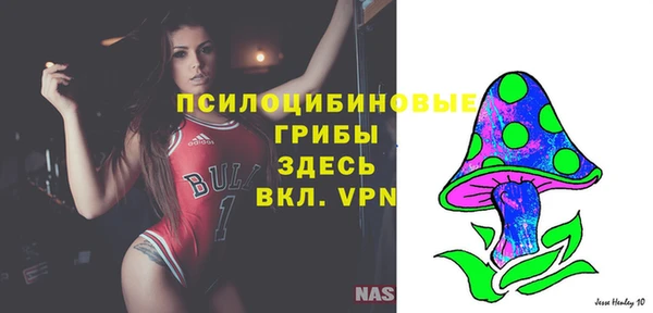 Альфа ПВП Нягань