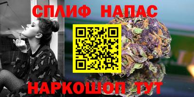 амф Кингисепп