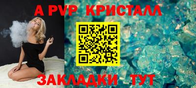 амф Кингисепп