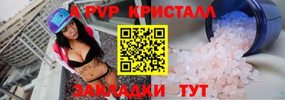амф Кингисепп