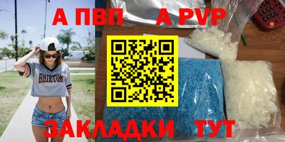 амф Кингисепп