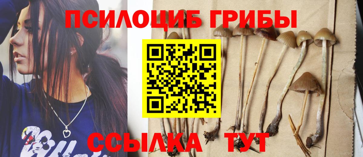 Галлюциногенные грибы Cubensis  Вход с VPN  Углич 