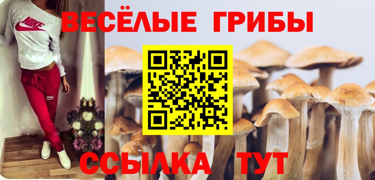 Псилоцибиновые грибы MAGIC MUSHROOMS Углич